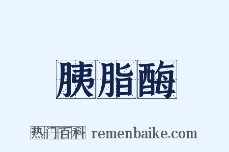 胰脂酶是什么意思的图片